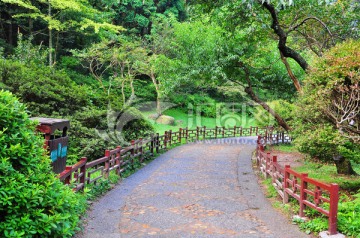 庐山花茎小路