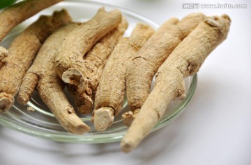 西洋參