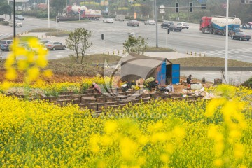 蜜蜂养殖场