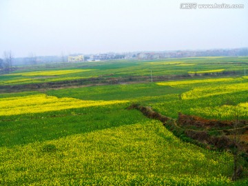 花地