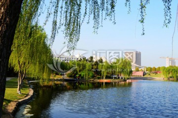 柳条下的南湖风景