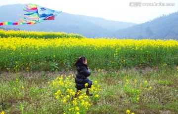 放风筝 油菜花