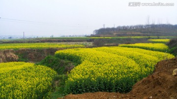 梯田