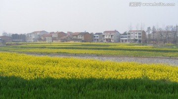 花地