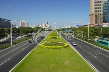 城市道路 城市绿化