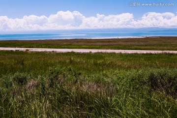 青海湖风光