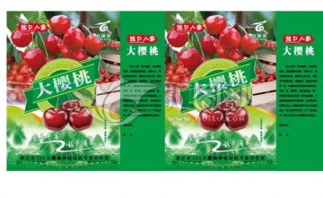 道口大櫻桃禮盒