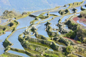 梯田