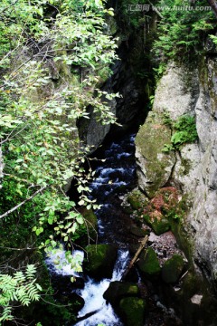 吉林长白山 峡谷 山涧 山泉