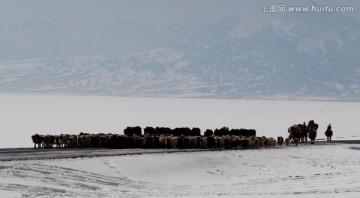 转场途中