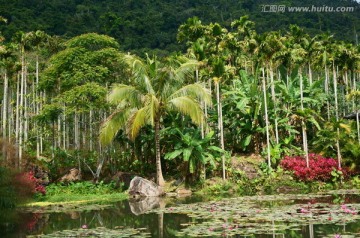 南方植物园