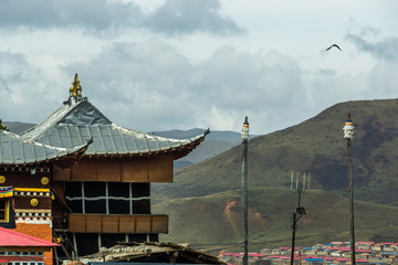 高原寺院飞鹰