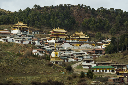 山林寺院佛塔景观