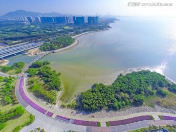 航拍深圳湾公园