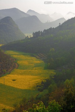 十万大山风光