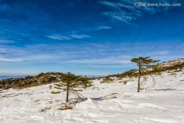 轿子雪山