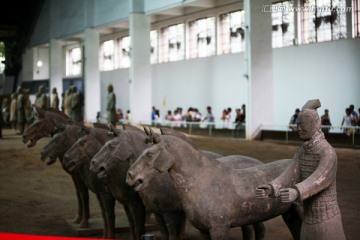 西安秦始皇 兵马俑 陶马