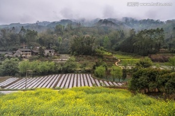云南羅平風光