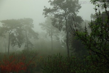 烟雨