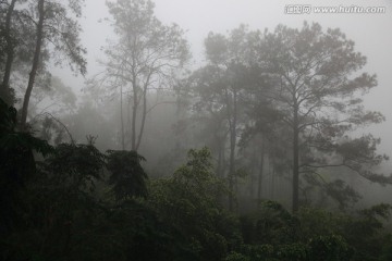 烟雨