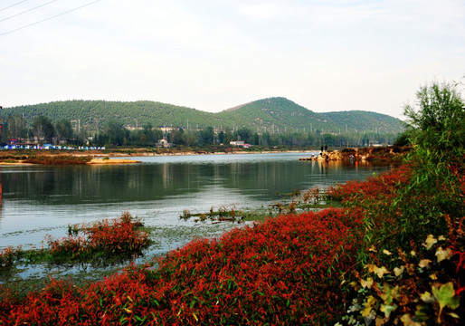 河岸风景