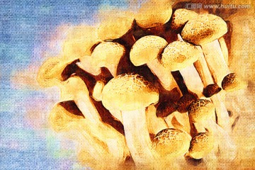 蘑菇油畫