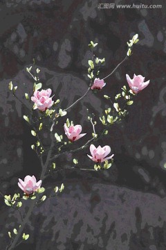 玉蘭花油畫