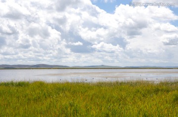 四川若尔盖花湖自然湿地