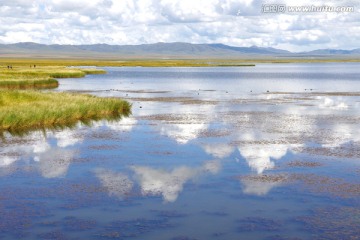 四川若尔盖花湖自然湿地