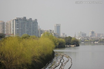 江南的河