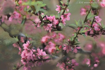 桃花油畫