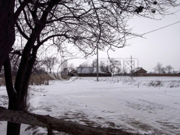 庆阳雪景