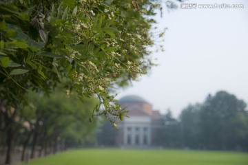 清华大学 大礼堂