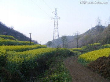 山里的梯田开满油菜花