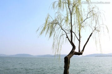 磨山风景