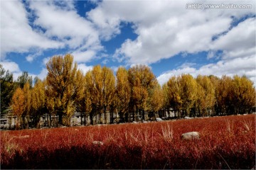 川藏风景