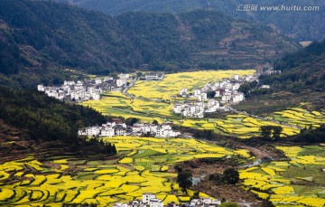 婺源美景