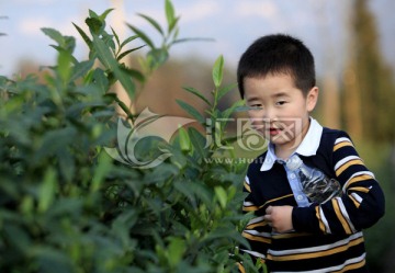 春天乡村田园春游