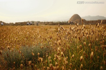 西夏皇陵