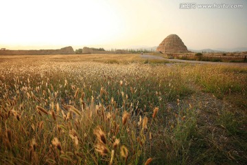 西夏皇陵