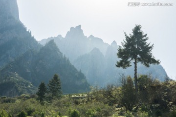 清晨 山谷 春天