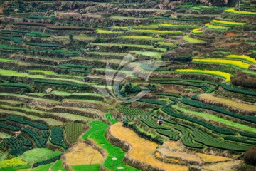 梯田大柯梯田