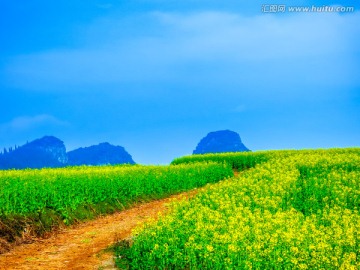 田园风光