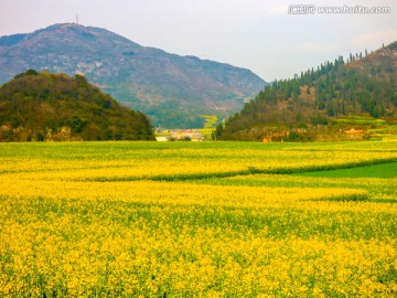 田园风光