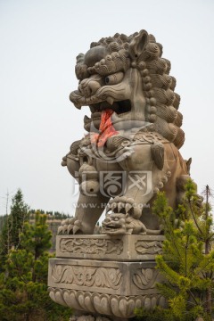 狮子 石雕 
