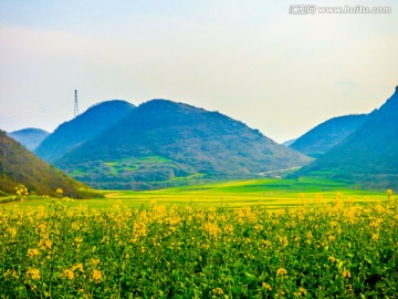 田园风光