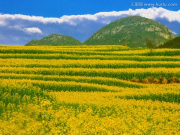田園風(fēng)光