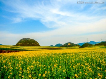 田园风光