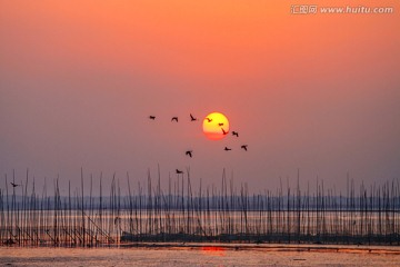 升金湖风光