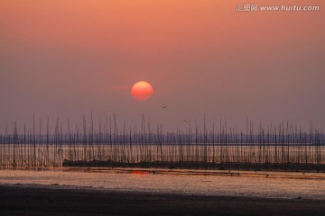 升金湖风光